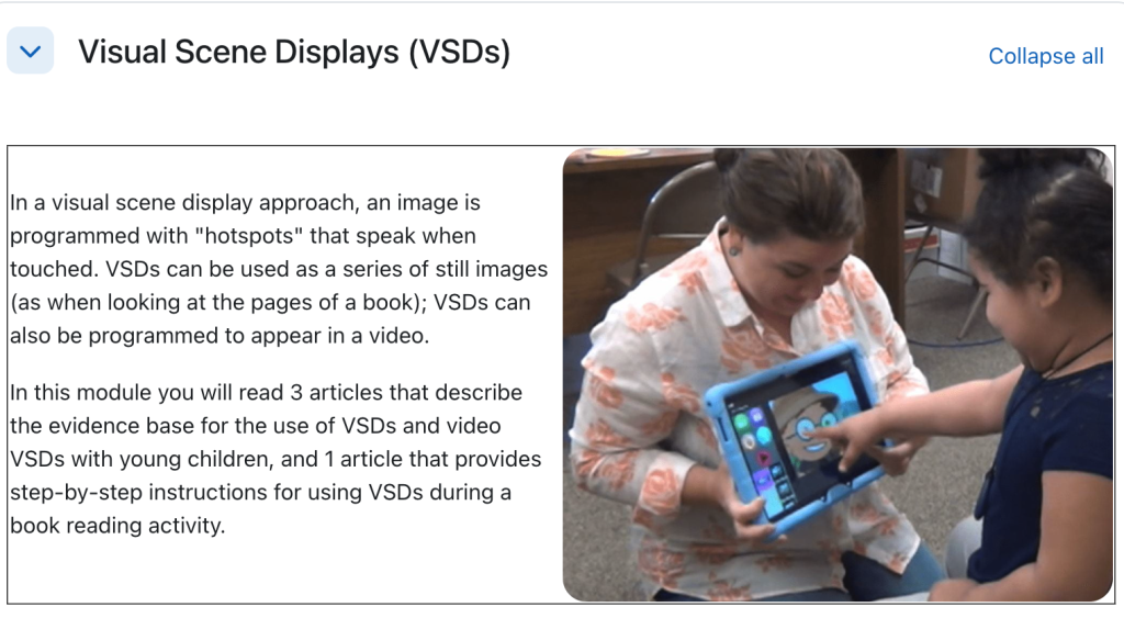 A screenshot of a module on visual scene displays
